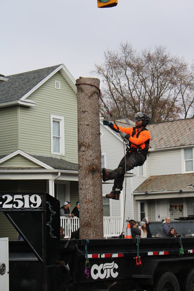 Good Guys Tree Service team