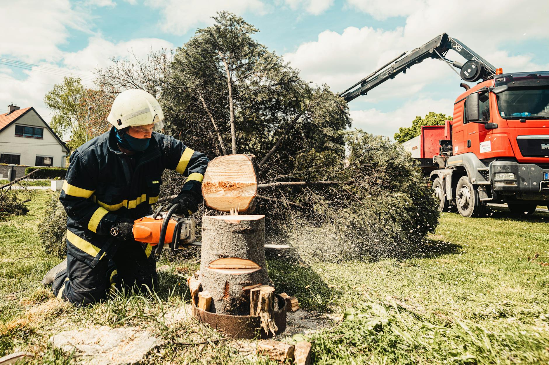 Completed tree service job site in Austin